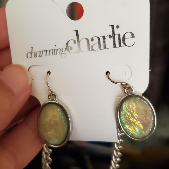 Charming Charlie Earring and Necklace set - Picture 3 of 3